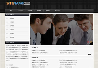 會計事務所財務法規咨詢服務建站模板