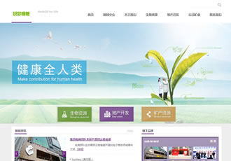 各資源行業企業通用模板